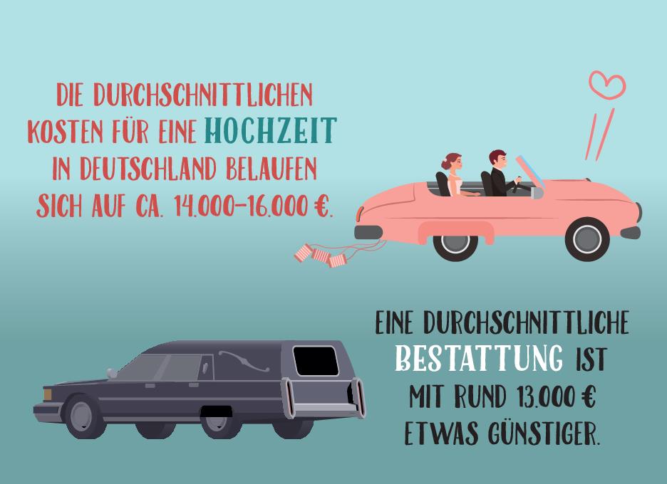 Weitere Ansicht: Wusstest du, dass Moskitos 47 Zähne haben?