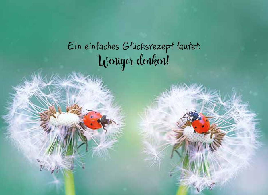 Weitere Ansicht: Herzenswünsche für dich