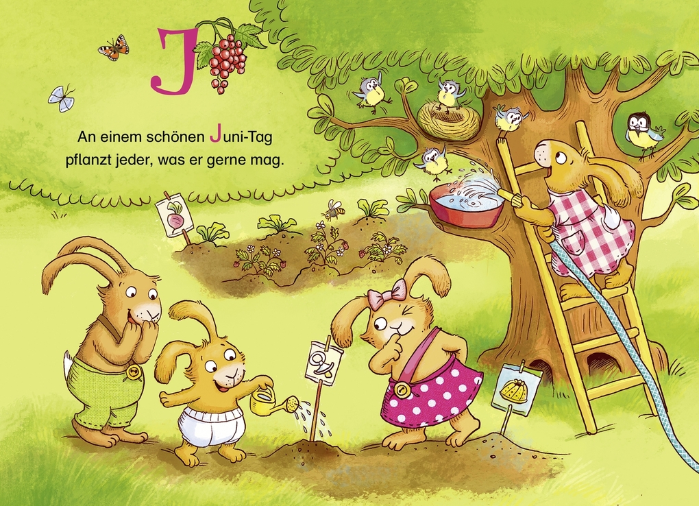 Weitere Ansicht: Wenn sieben kleine Hasen durch das ABC rasen | Sabine Praml