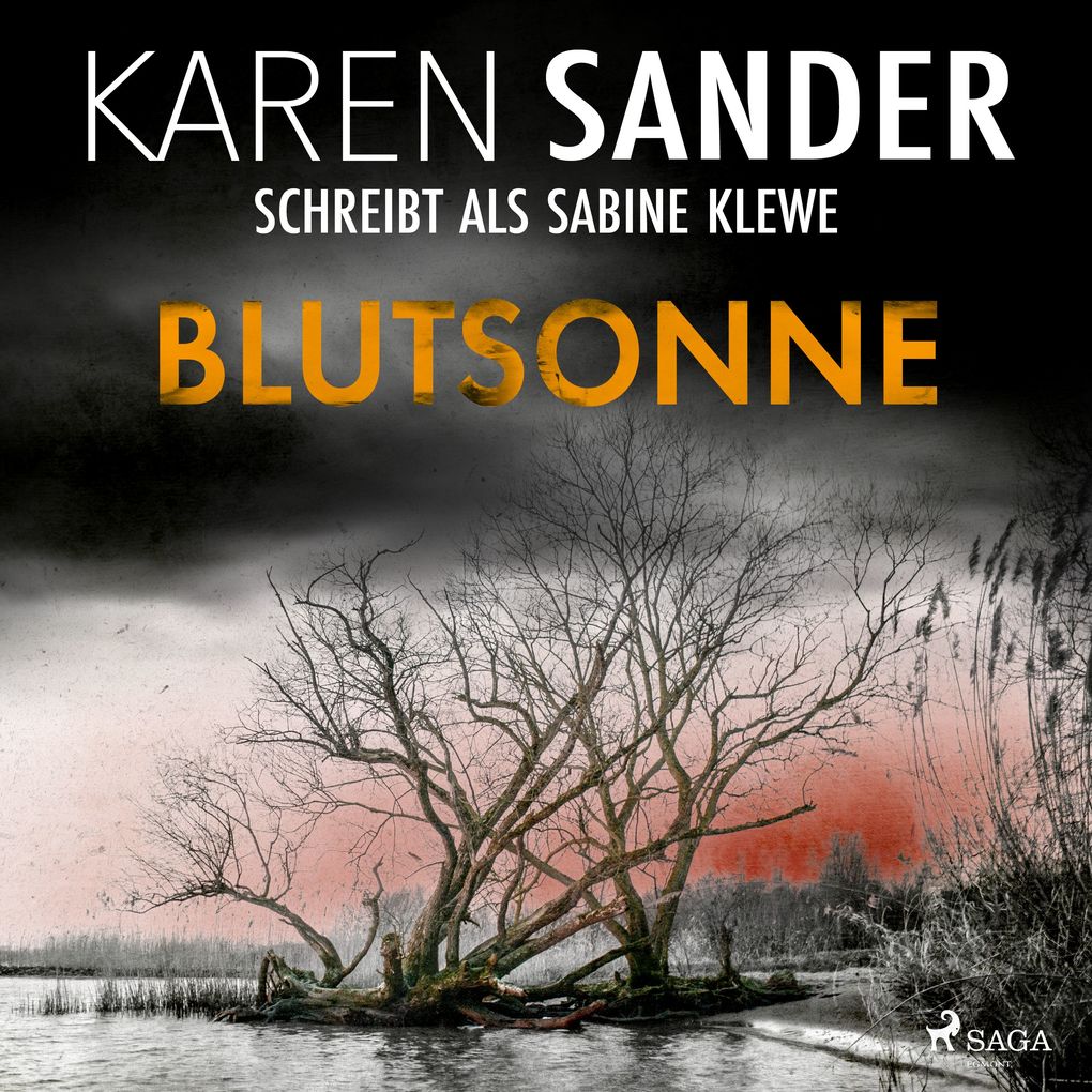 Produktbild: Blutsonne | Karen Sander