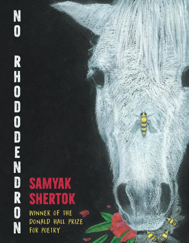 Produktbild: No Rhododendron | Samyak Shertok