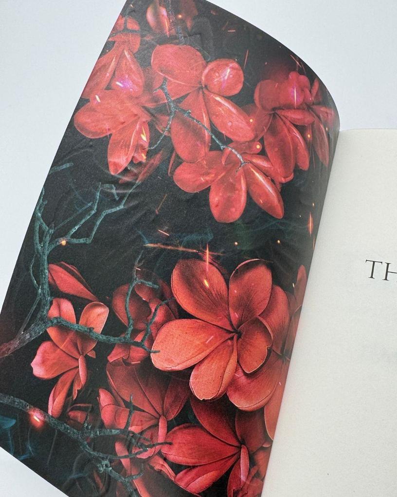 Weitere Ansicht: The Damned | Harper L Woods