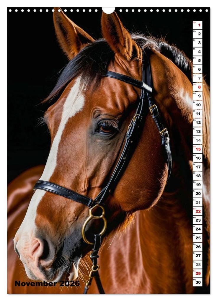 Weitere Ansicht: Pferdekalender - Wunderschöne Pferde in Natur und Portraits (Wandkalender 2026 DIN A3 hoch), CALVENDO Monatskalender | MB Fotografie, Calvendo