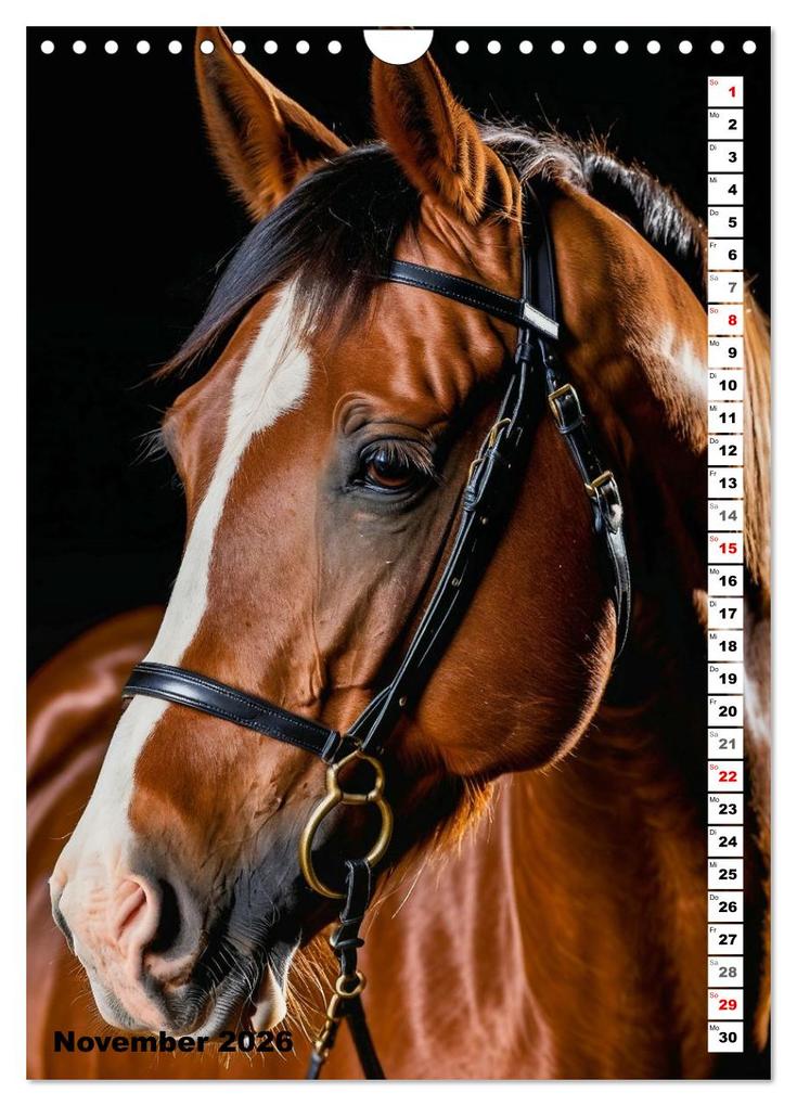 Weitere Ansicht: Pferdekalender - Wunderschöne Pferde in Natur und Portraits (Wandkalender 2026 DIN A4 hoch), CALVENDO Monatskalender | MB Fotografie, Calvendo