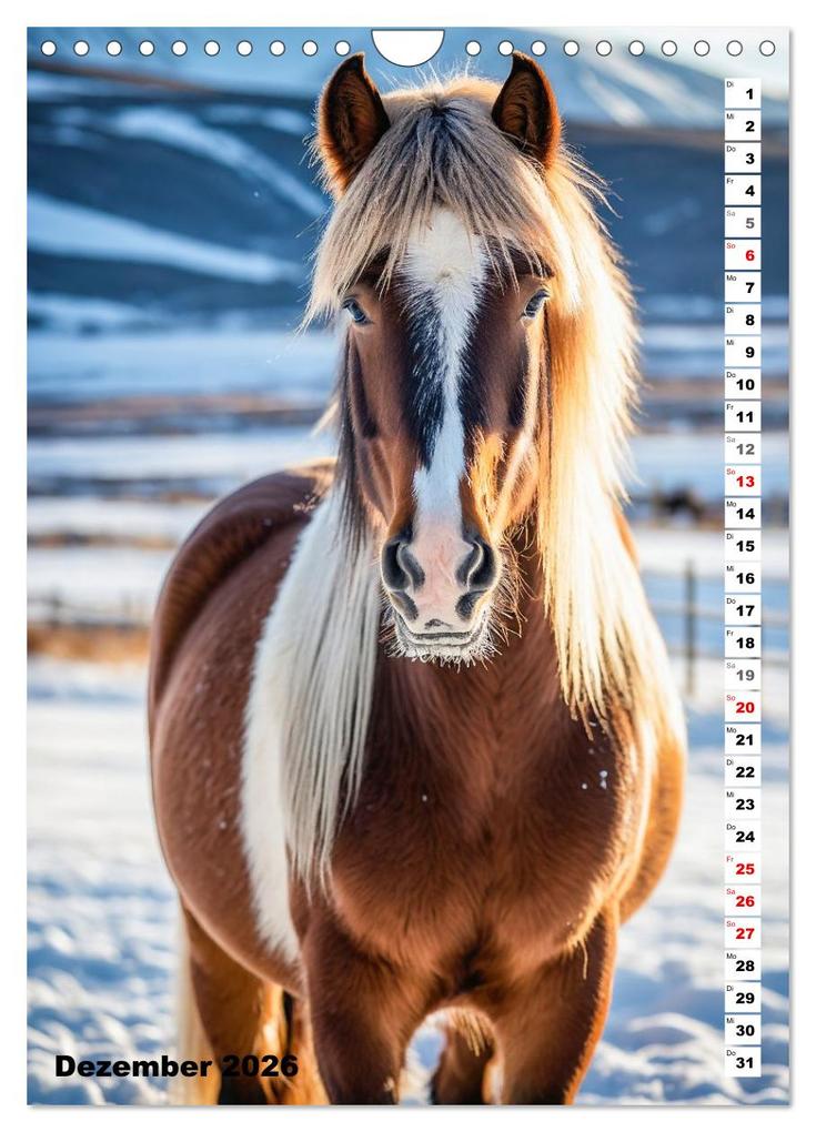 Weitere Ansicht: Pferdekalender - Wunderschöne Pferde in Natur und Portraits (Wandkalender 2026 DIN A4 hoch), CALVENDO Monatskalender | MB Fotografie, Calvendo