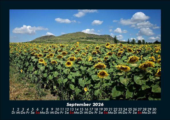 Weitere Ansicht: Pflanzen und Blüten 2026 Fotokalender DIN A5 | Tobias Becker