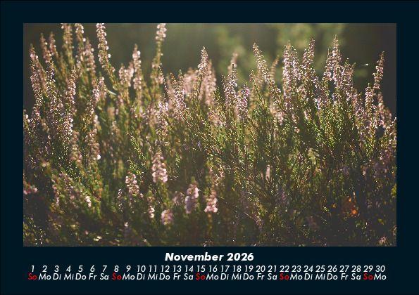 Weitere Ansicht: Pflanzen und Blüten 2026 Fotokalender DIN A5 | Tobias Becker
