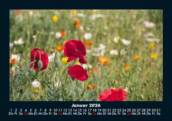 Weitere Ansicht: Pflanzen und Blüten 2026 Fotokalender DIN A5 | Tobias Becker