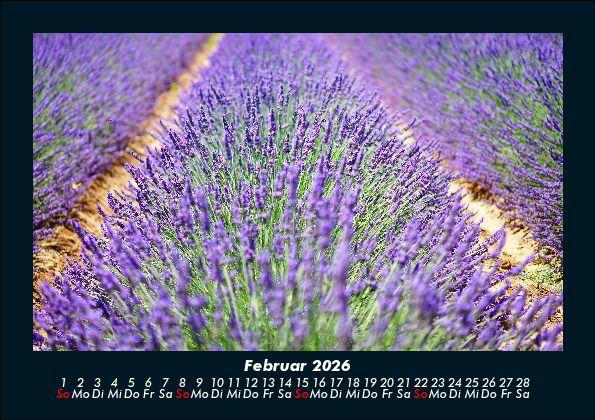 Weitere Ansicht: Pflanzen und Blüten 2026 Fotokalender DIN A5 | Tobias Becker