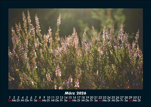 Weitere Ansicht: Pflanzen und Blüten 2026 Fotokalender DIN A5 | Tobias Becker