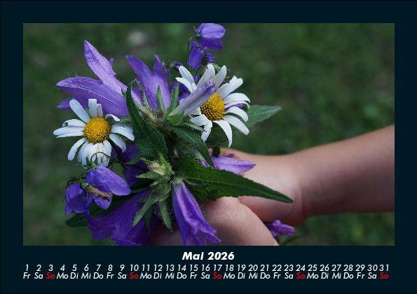 Weitere Ansicht: Pflanzen und Blüten 2026 Fotokalender DIN A5 | Tobias Becker