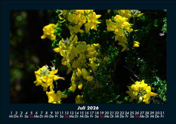 Weitere Ansicht: Pflanzen und Blüten 2026 Fotokalender DIN A5 | Tobias Becker