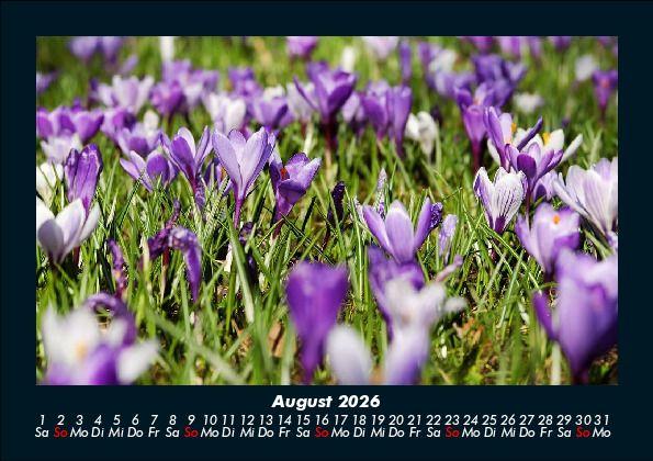 Weitere Ansicht: Pflanzen und Blüten 2026 Fotokalender DIN A5 | Tobias Becker