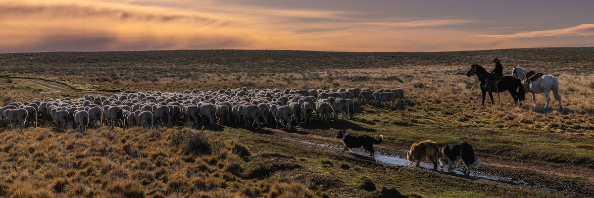 Weitere Ansicht: Bis ans Ende der Welt | Martin Köppert