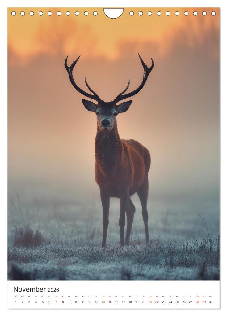 Weitere Ansicht: Seelenzeit Natur (Wandkalender 2026 DIN A4 hoch), CALVENDO Monatskalender | Steffen Gierok-Latniak, Calvendo