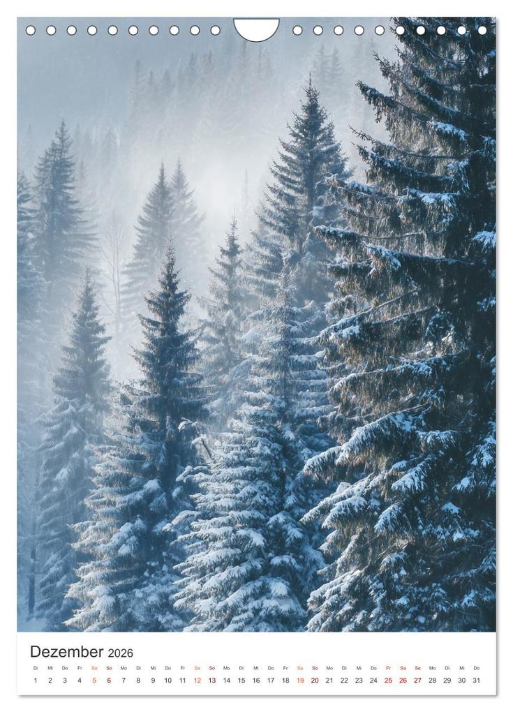 Weitere Ansicht: Seelenzeit Natur (Wandkalender 2026 DIN A4 hoch), CALVENDO Monatskalender | Steffen Gierok-Latniak, Calvendo