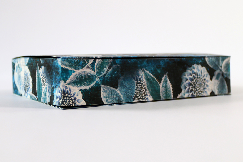 Weitere Ansicht: Until I Fall For You (Fairview Hockey, Band 2) | Claire Contreras