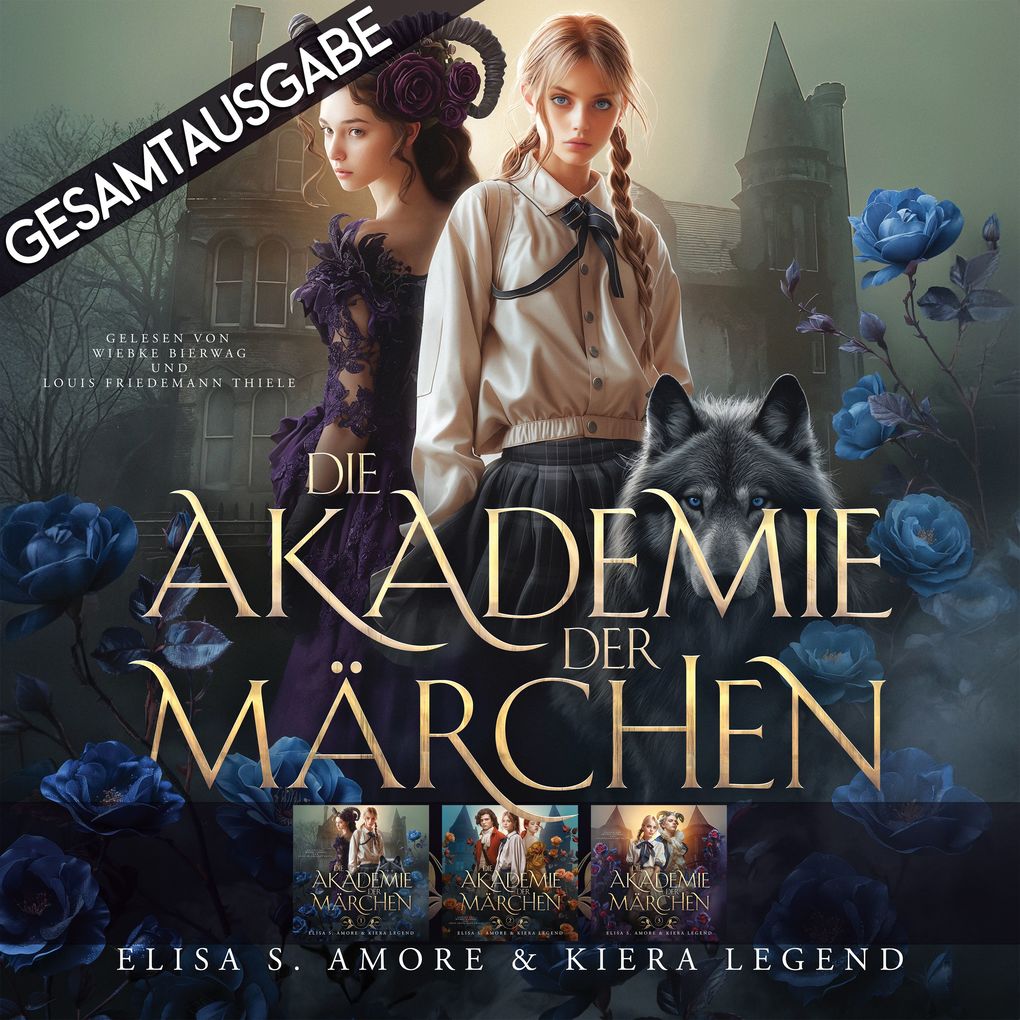 Produktbild: Gesamtausgabe - Die Akademie der Märchen | Elisa S. Amore