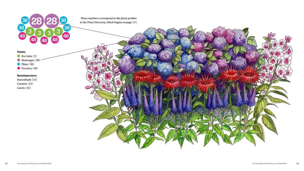 Weitere Ansicht: Plant by Number | Stacy Tornio