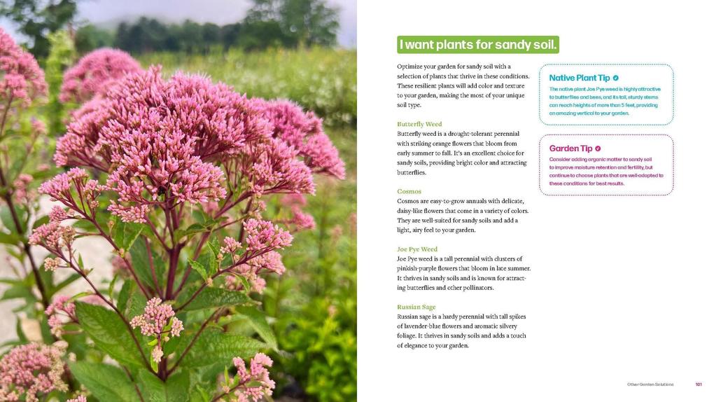 Weitere Ansicht: Plant by Number | Stacy Tornio