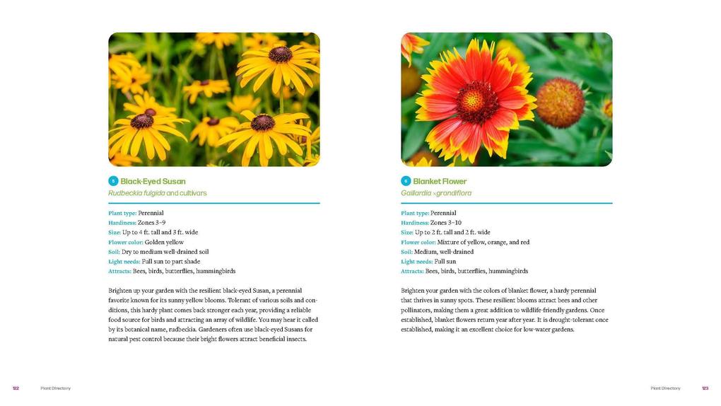 Weitere Ansicht: Plant by Number | Stacy Tornio
