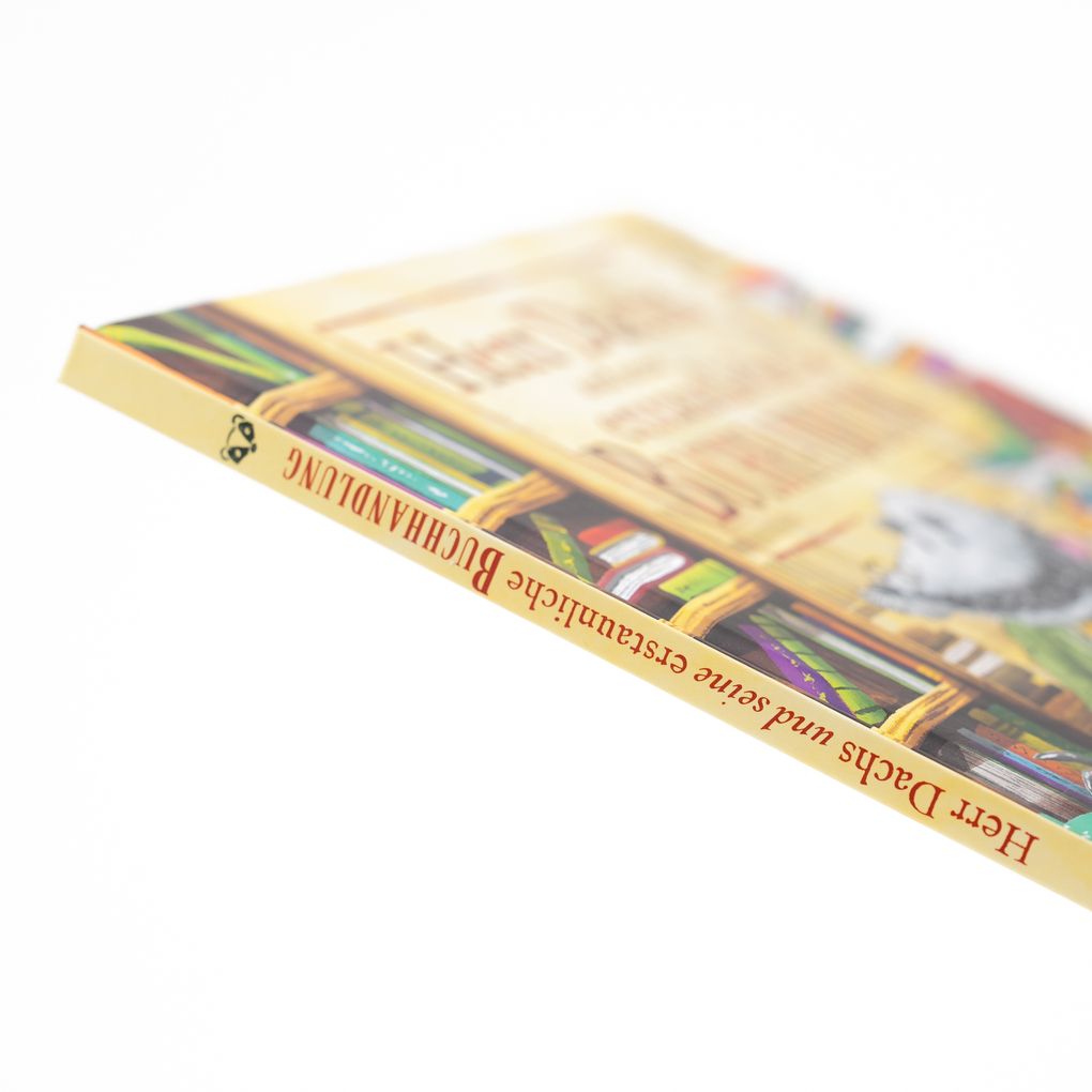 Weitere Ansicht: Herr Dachs und seine erstaunliche Buchhandlung | Paddy Donnelly