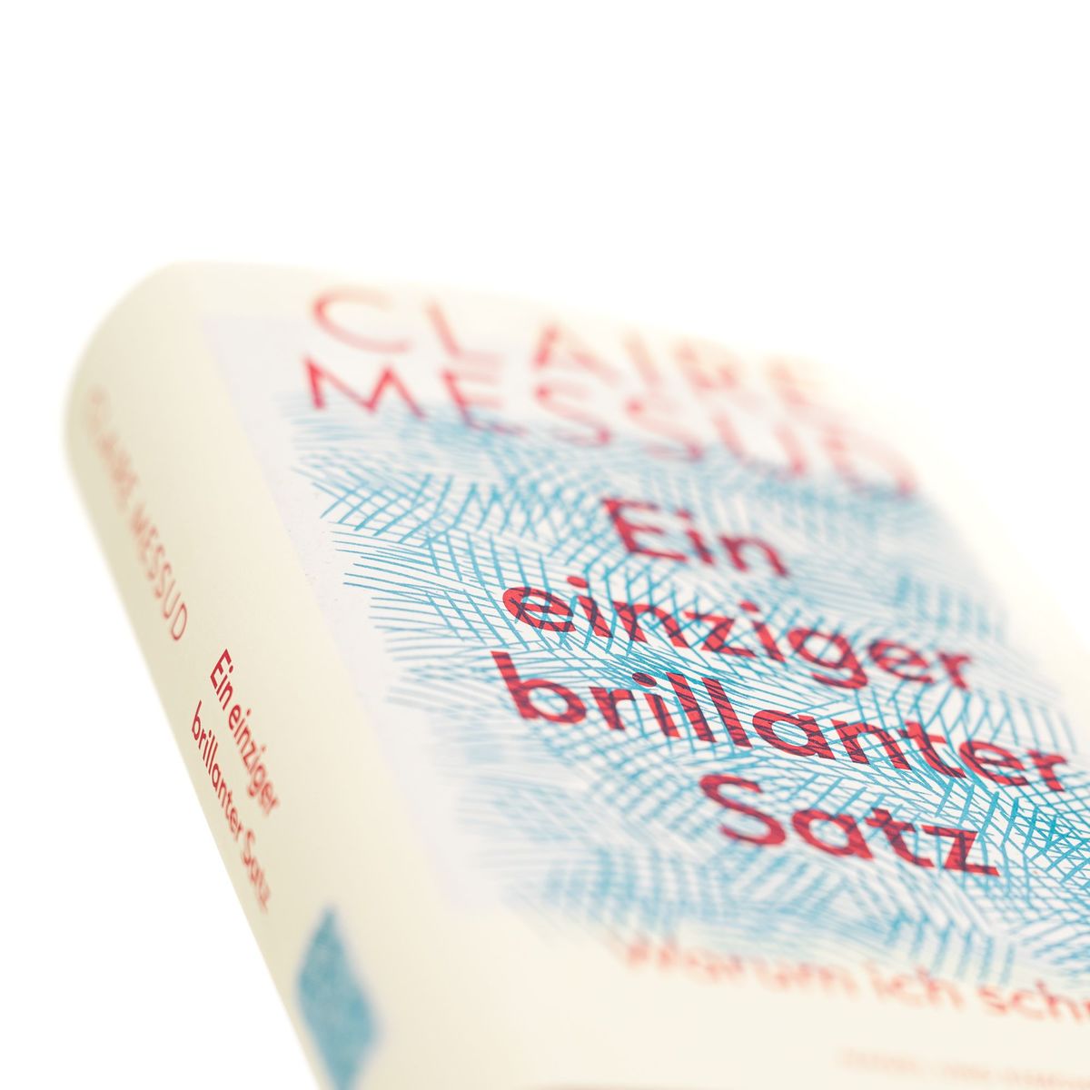 Weitere Ansicht: Ein einziger brillanter Satz | Claire Messud