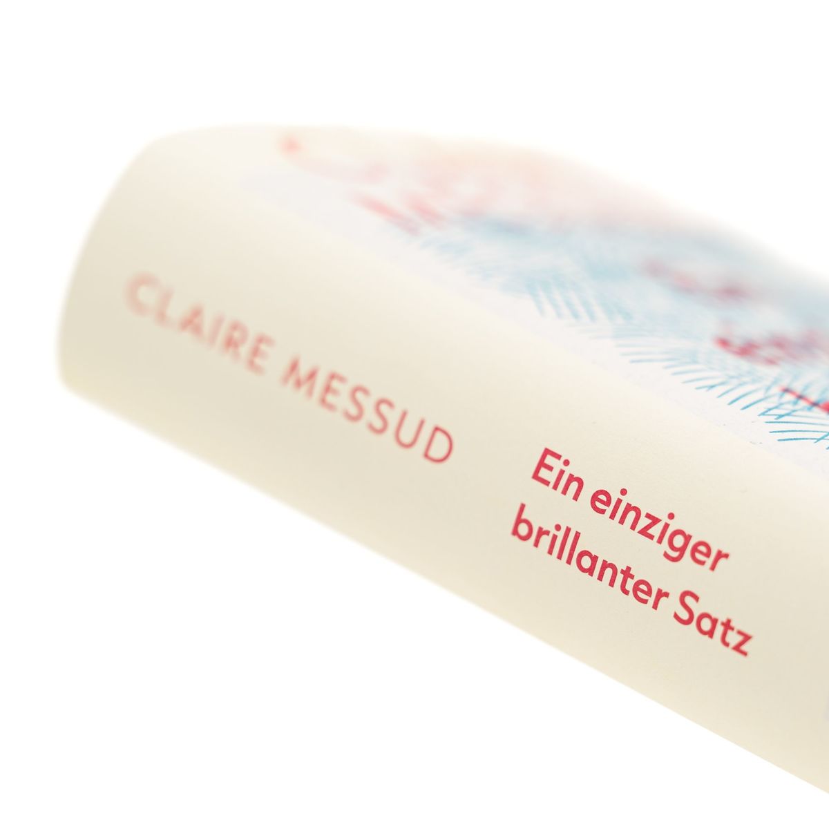 Weitere Ansicht: Ein einziger brillanter Satz | Claire Messud