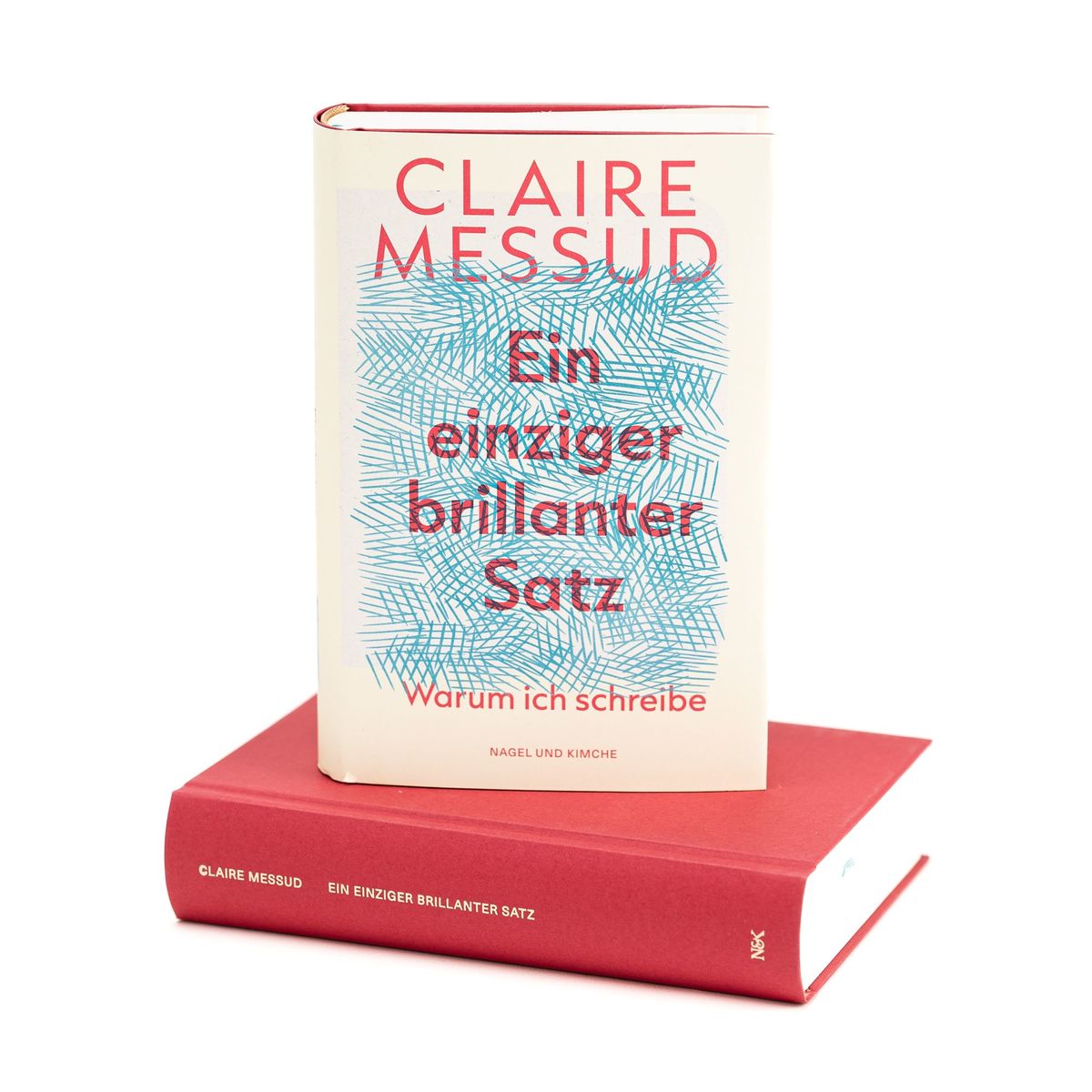 Weitere Ansicht: Ein einziger brillanter Satz | Claire Messud