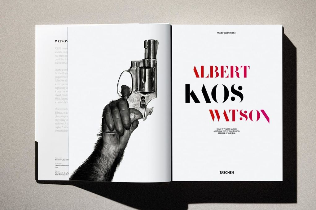 Weitere Ansicht: Albert Watson