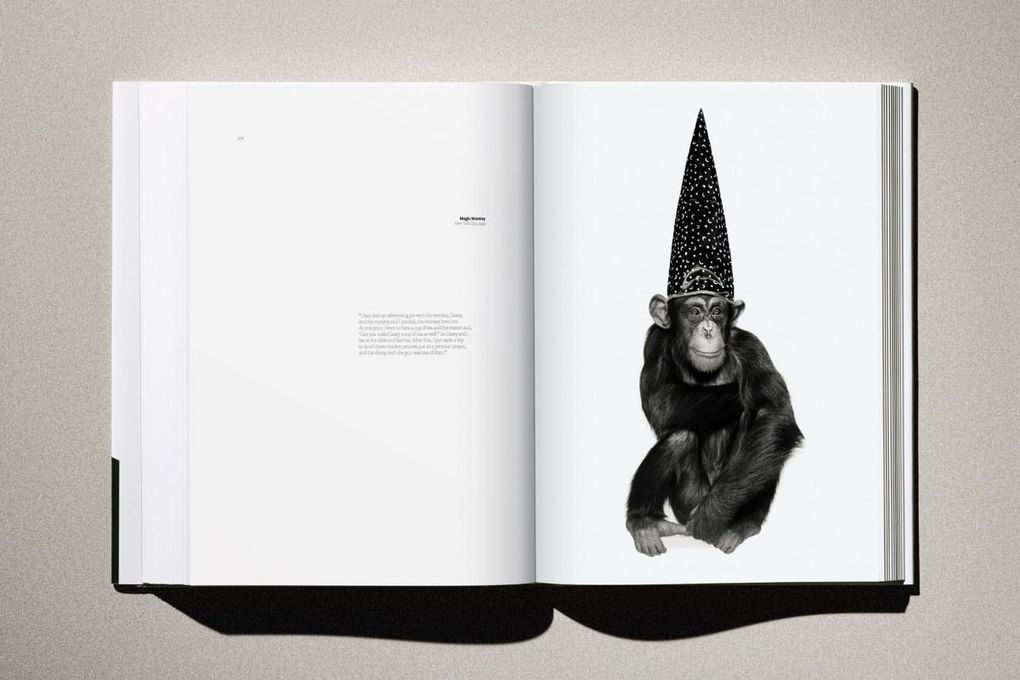 Weitere Ansicht: Albert Watson