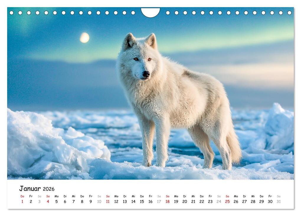 Weitere Ansicht: Wölfe im Mondlicht - Ruf der Wildnis (Wandkalender 2026 DIN A4 quer), CALVENDO Monatskalender | MB Fotografie, Calvendo