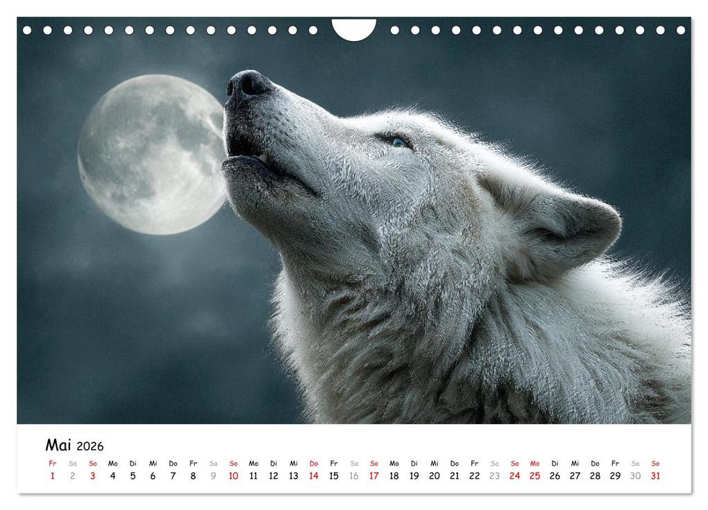 Weitere Ansicht: Wölfe im Mondlicht - Ruf der Wildnis (Wandkalender 2026 DIN A4 quer), CALVENDO Monatskalender | MB Fotografie, Calvendo