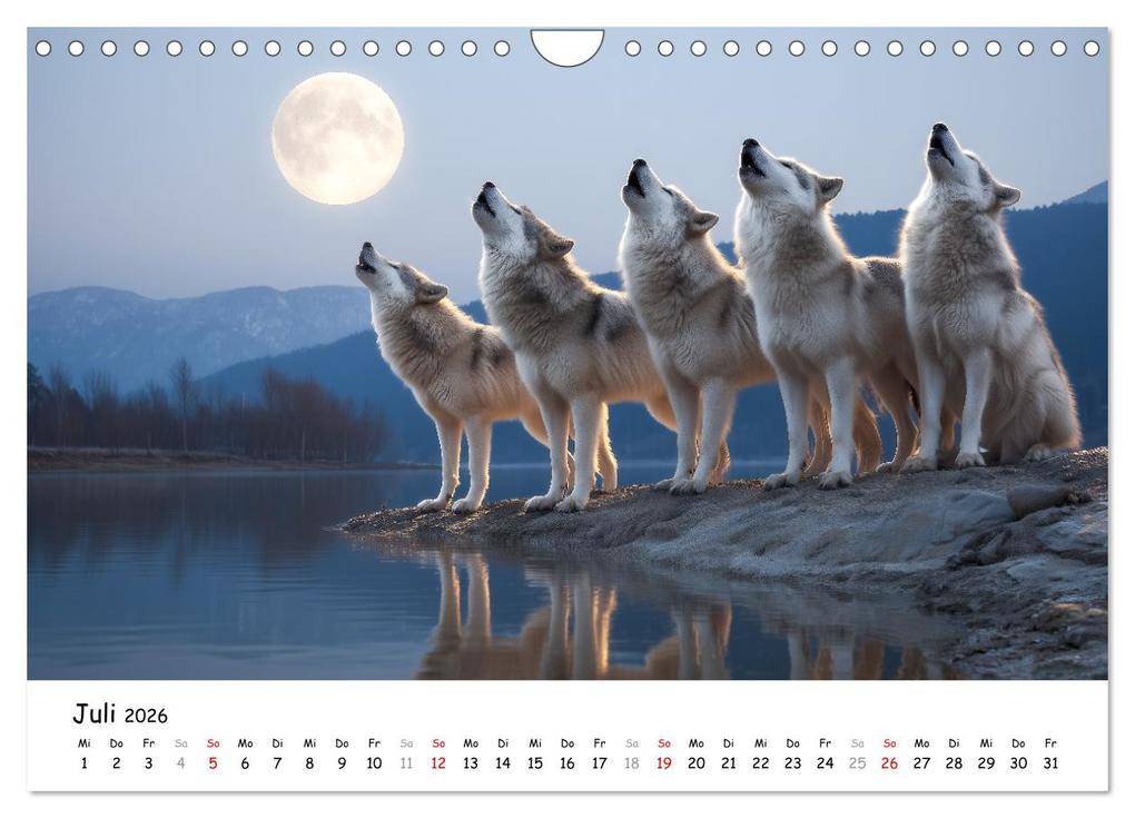 Weitere Ansicht: Wölfe im Mondlicht - Ruf der Wildnis (Wandkalender 2026 DIN A4 quer), CALVENDO Monatskalender | MB Fotografie, Calvendo