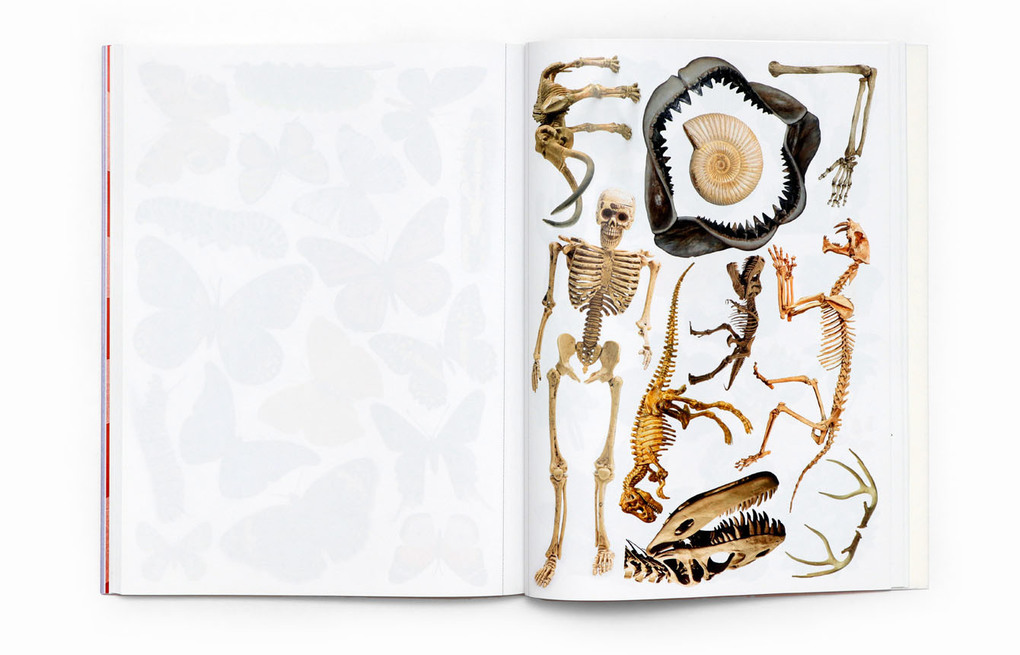 Weitere Ansicht: Collage Fantastique! | Peter Platel