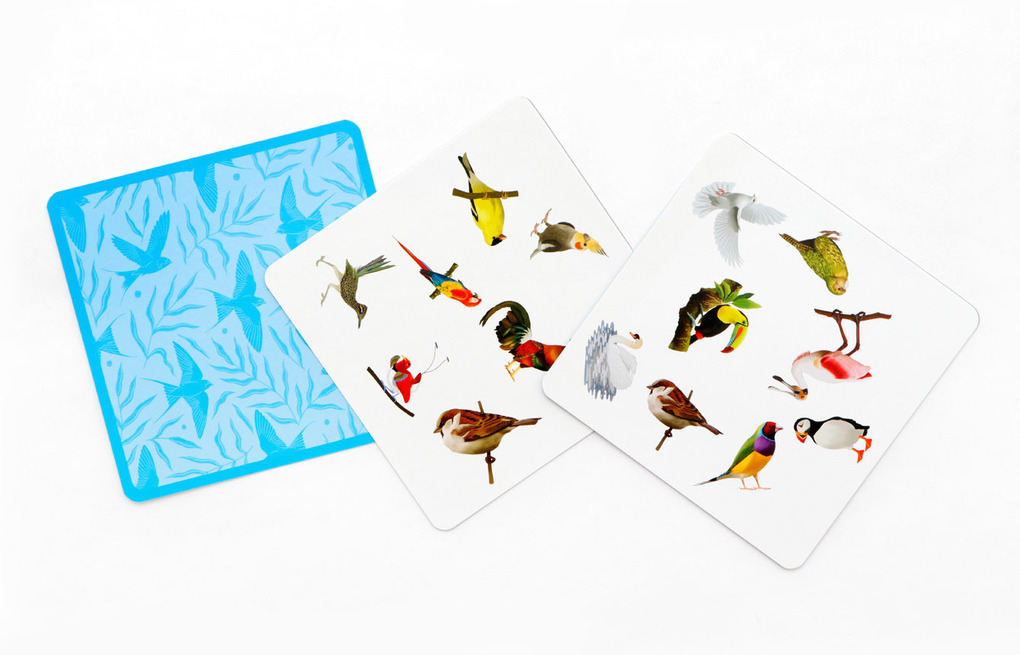 Weitere Ansicht: Finde den Vogel