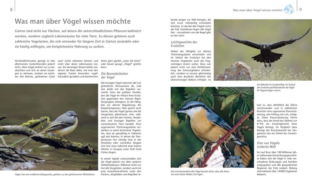 Weitere Ansicht: Vögel zu Gast im Garten - Beobachten, bestimmen, schützen. | Axel Gutjahr