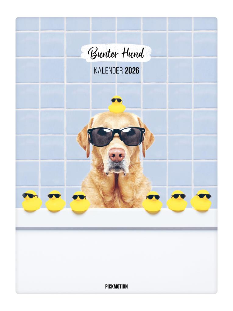 Produktbild: Wandkalender 2026 - Bunter Hund