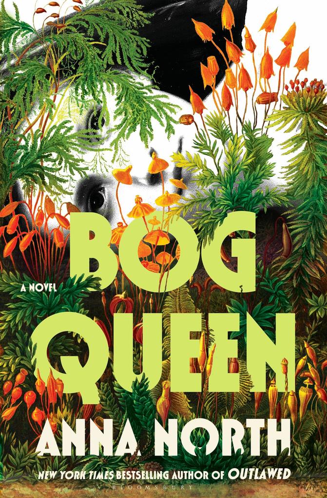 Produktbild: Bog Queen | Anna North