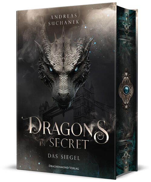 Produktbild: Dragons in Secret - Das Siegel | Andreas Suchanek