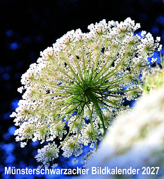 Produktbild: Münsterschwarzacher Bildkalender 2027