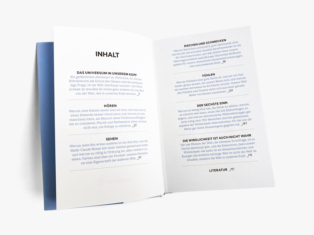 Weitere Ansicht: Die Wirklichkeit ist auch nicht wahr | Florian Aigner