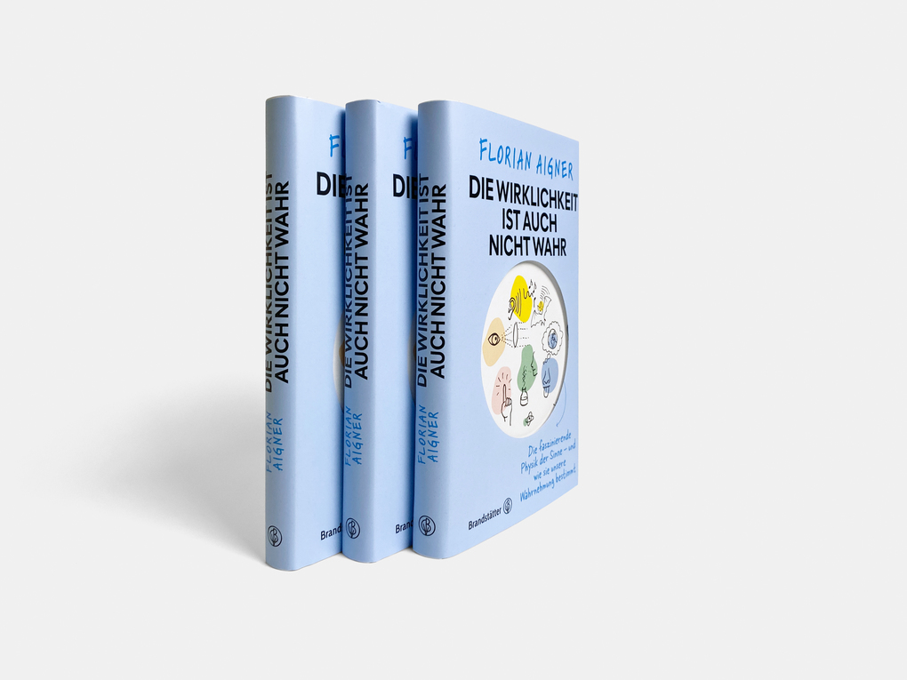 Weitere Ansicht: Die Wirklichkeit ist auch nicht wahr | Florian Aigner