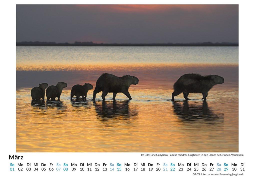 Weitere Ansicht: Nagetiere | Olivia Zimmermann