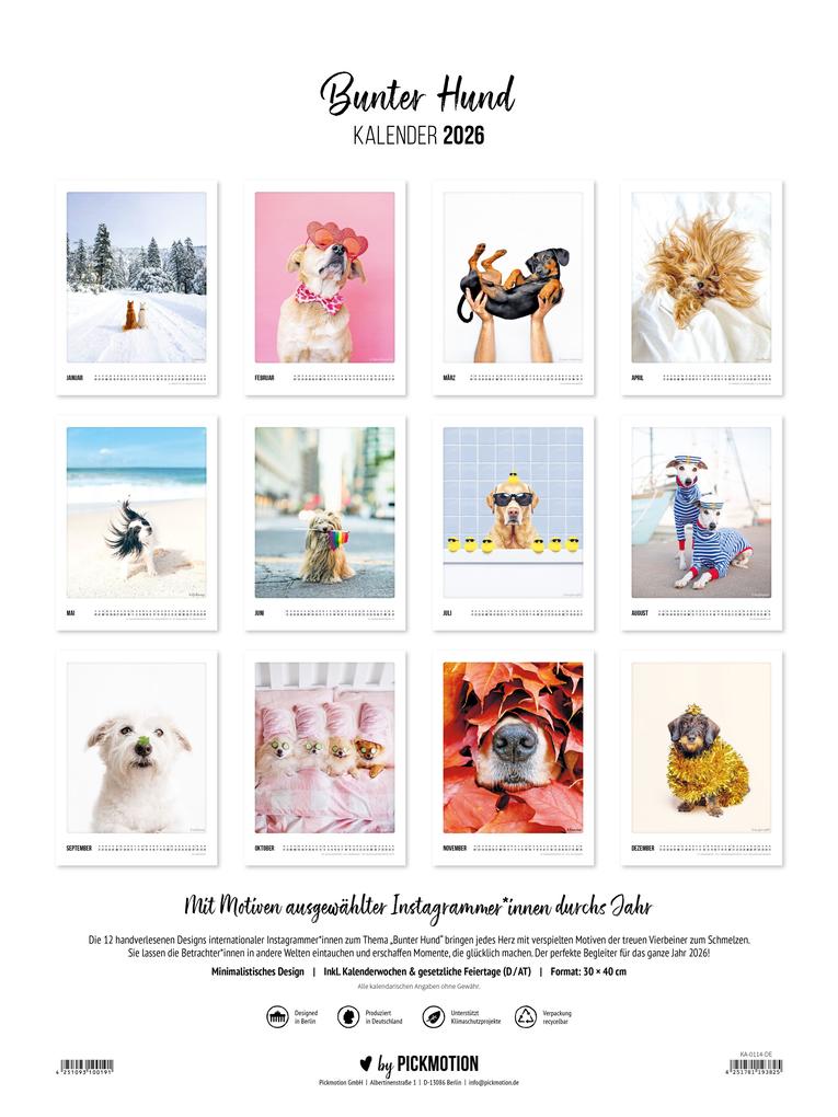 Weitere Ansicht: Wandkalender 2026 - Bunter Hund