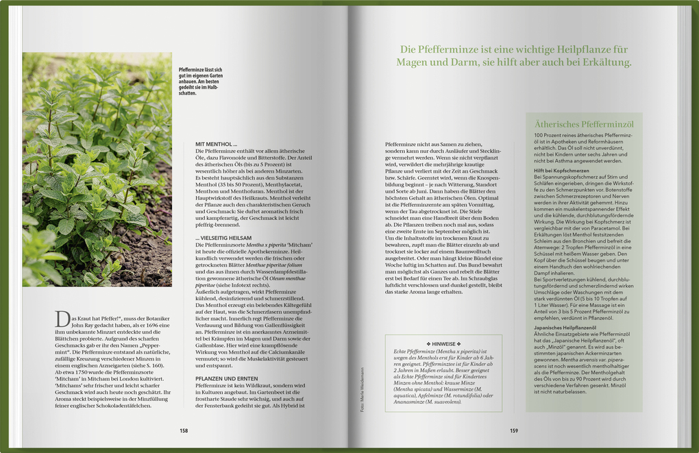 Weitere Ansicht: Landlust Naturapotheke 2