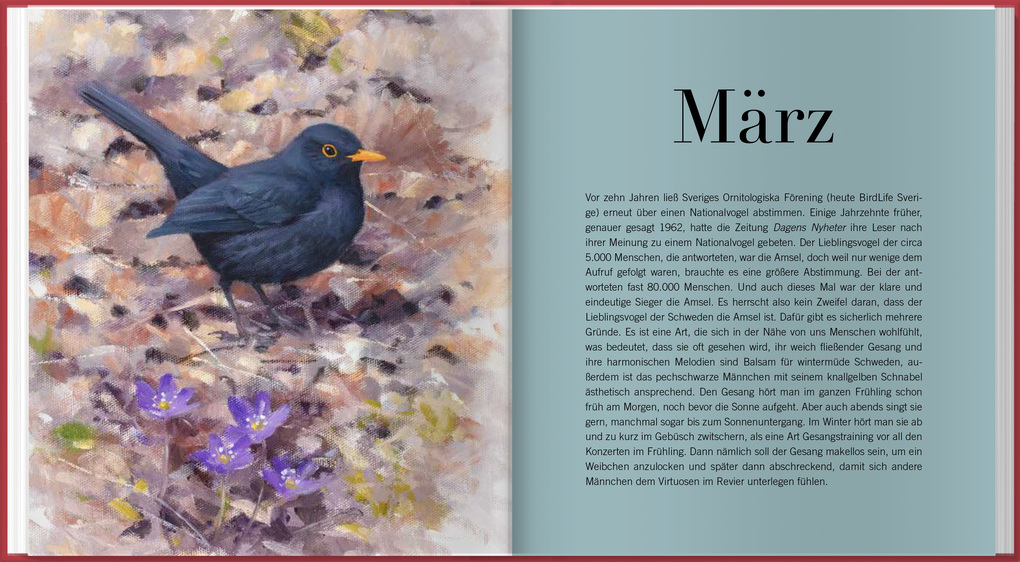 Weitere Ansicht: Der illustrierte Vogelkalender 2027 | Niklas Aronsson