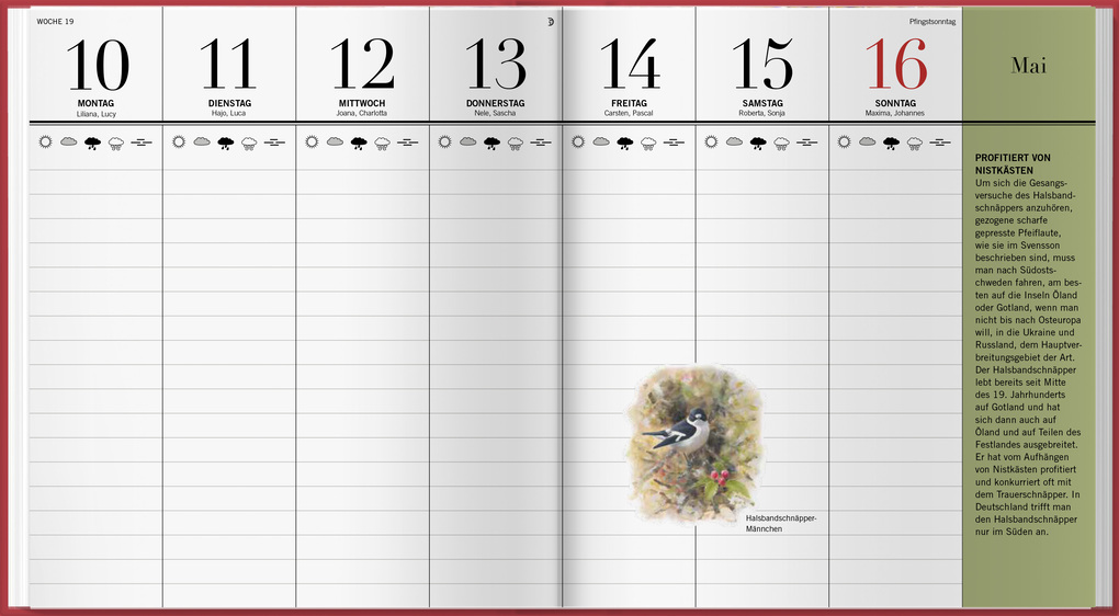 Weitere Ansicht: Der illustrierte Vogelkalender 2027 | Niklas Aronsson