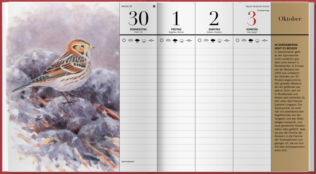 Weitere Ansicht: Der illustrierte Vogelkalender 2027 | Niklas Aronsson