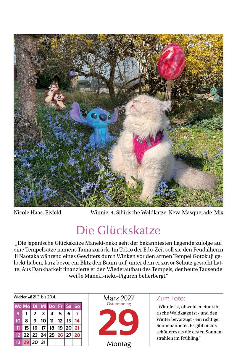 Weitere Ansicht: Katzen Tageskalender 2027